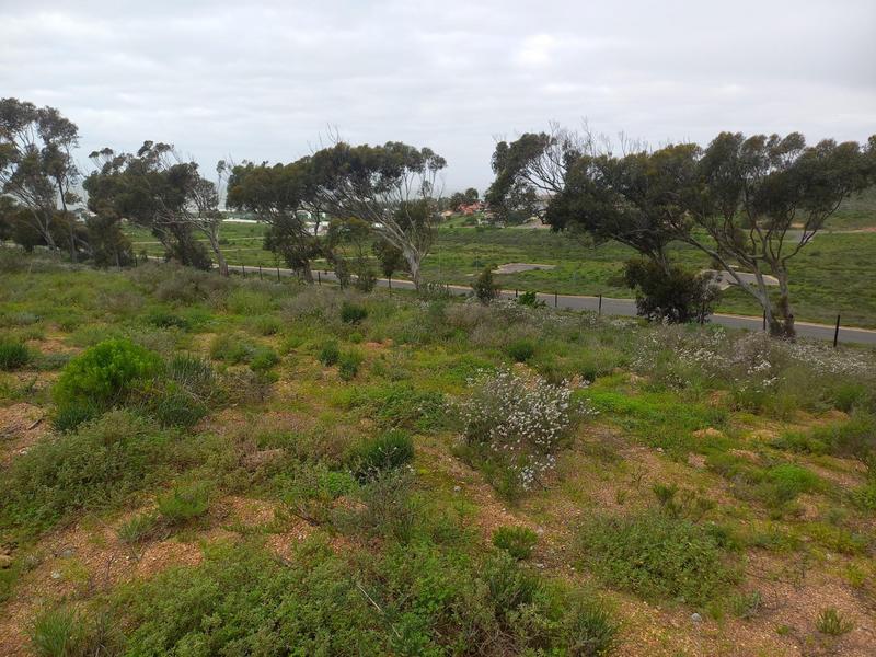 0 Bedroom Property for Sale in Sandy Point Western Cape